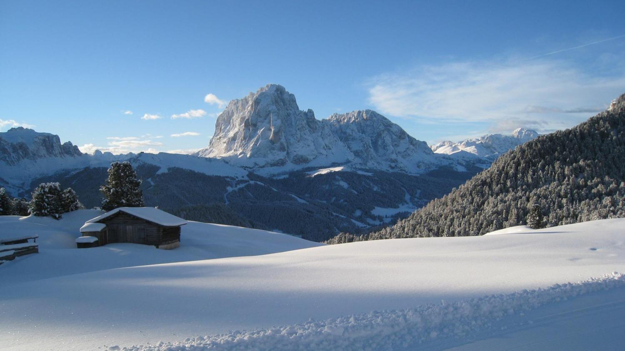 Apartments Dolomie Ortisei Bagian luar foto