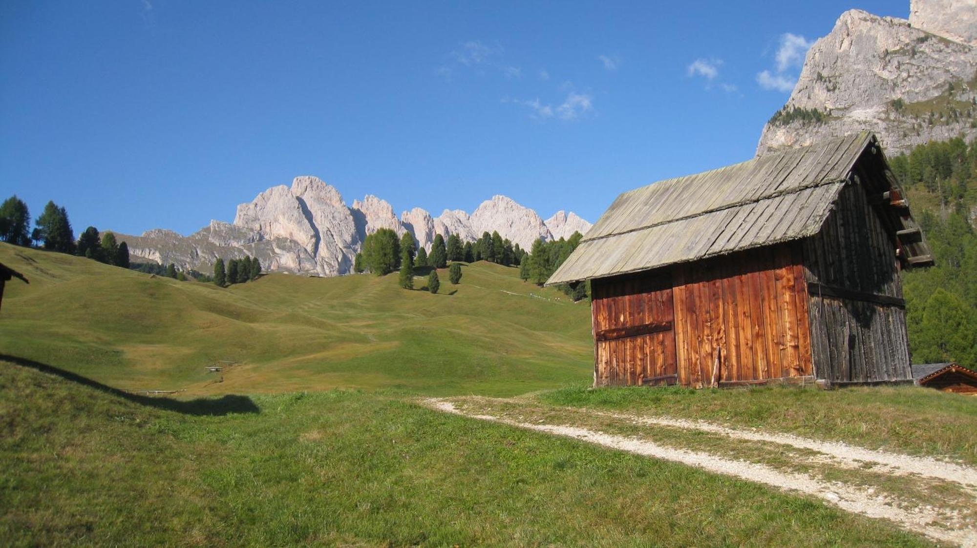 Apartments Dolomie Ortisei Bagian luar foto