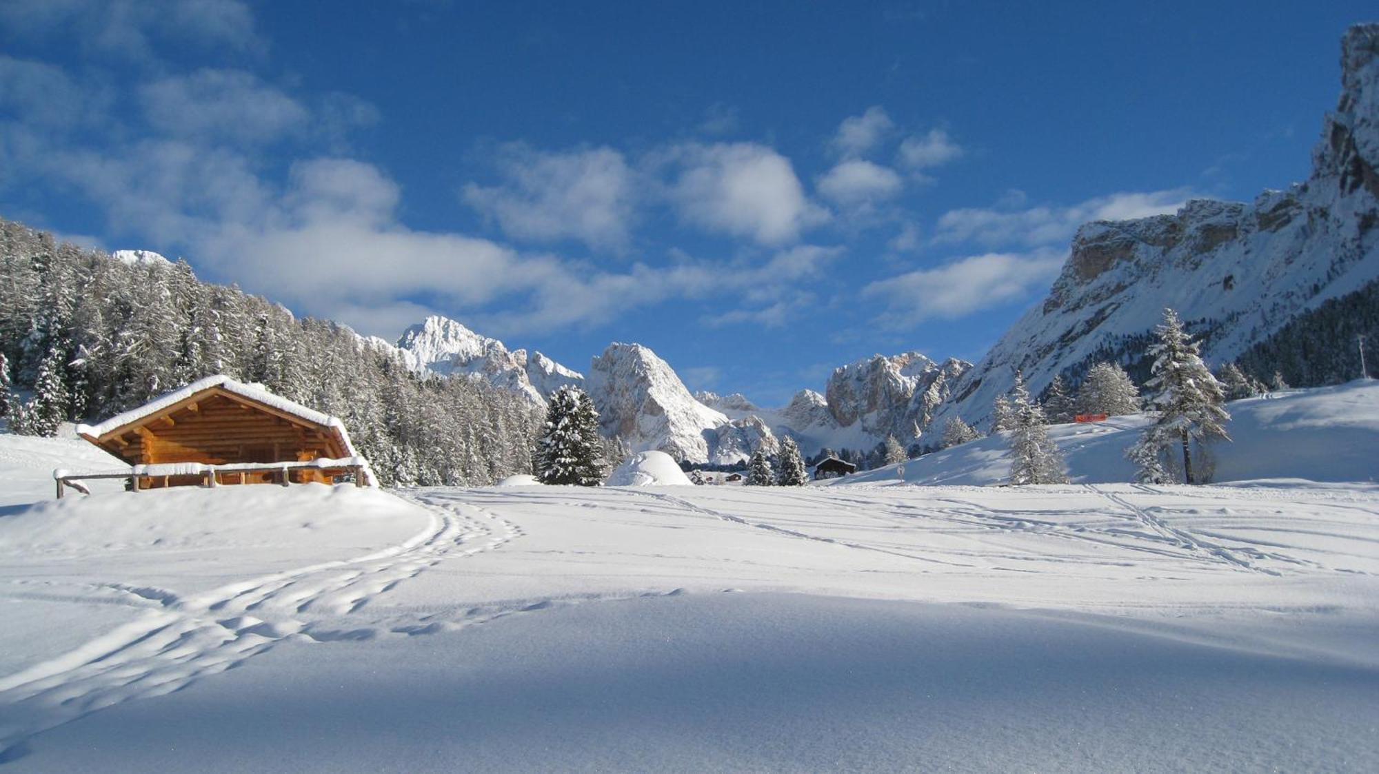 Apartments Dolomie Ortisei Bagian luar foto